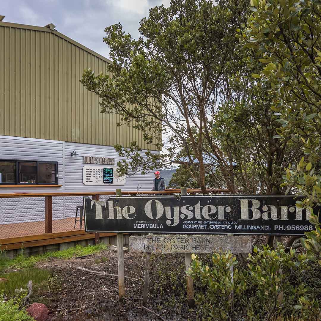 Sydney Rock Oyster Farmers, Merimbula Lake NSW