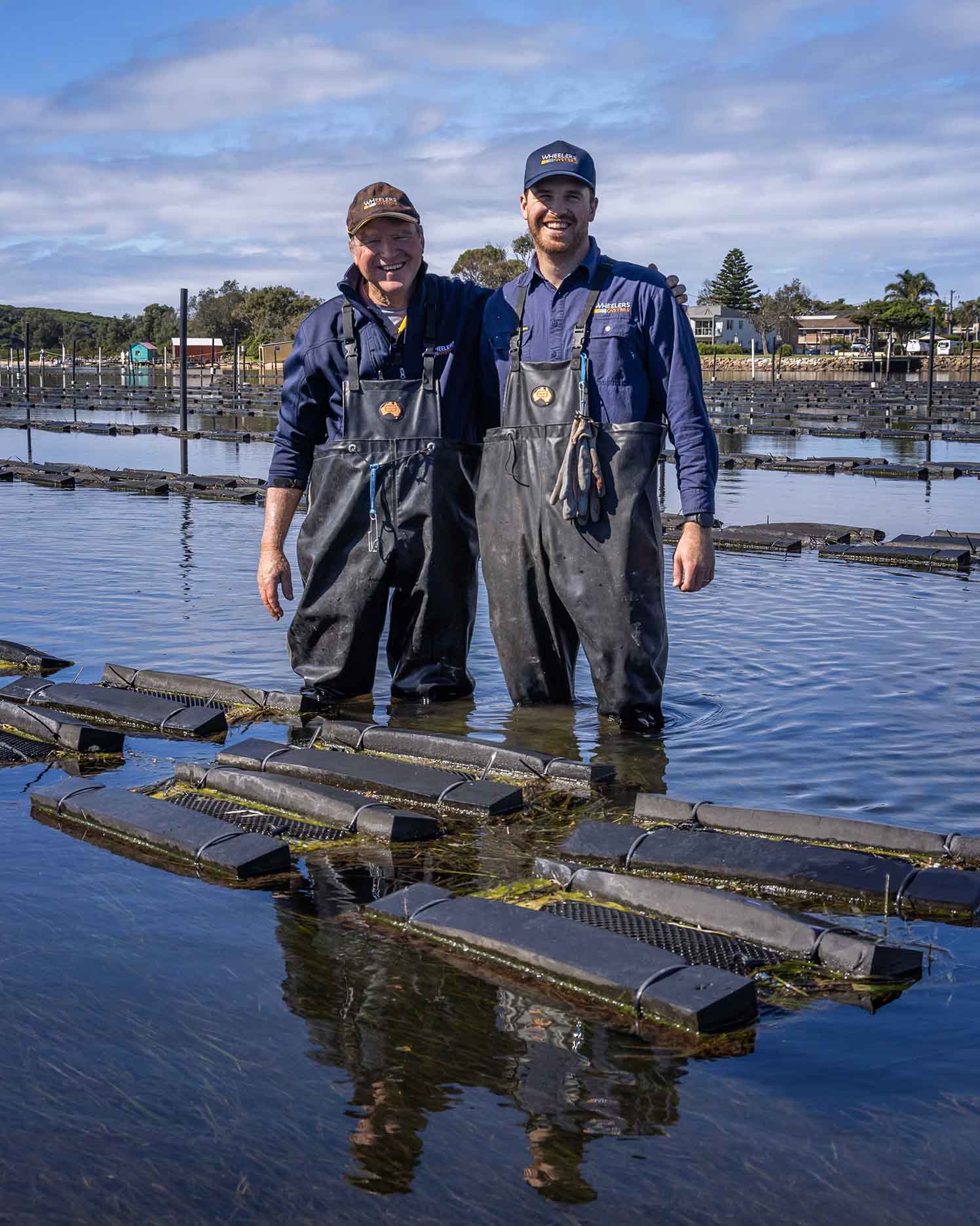 Sydney Rock Oysters from Merimbula Lake, Sapphire Coast