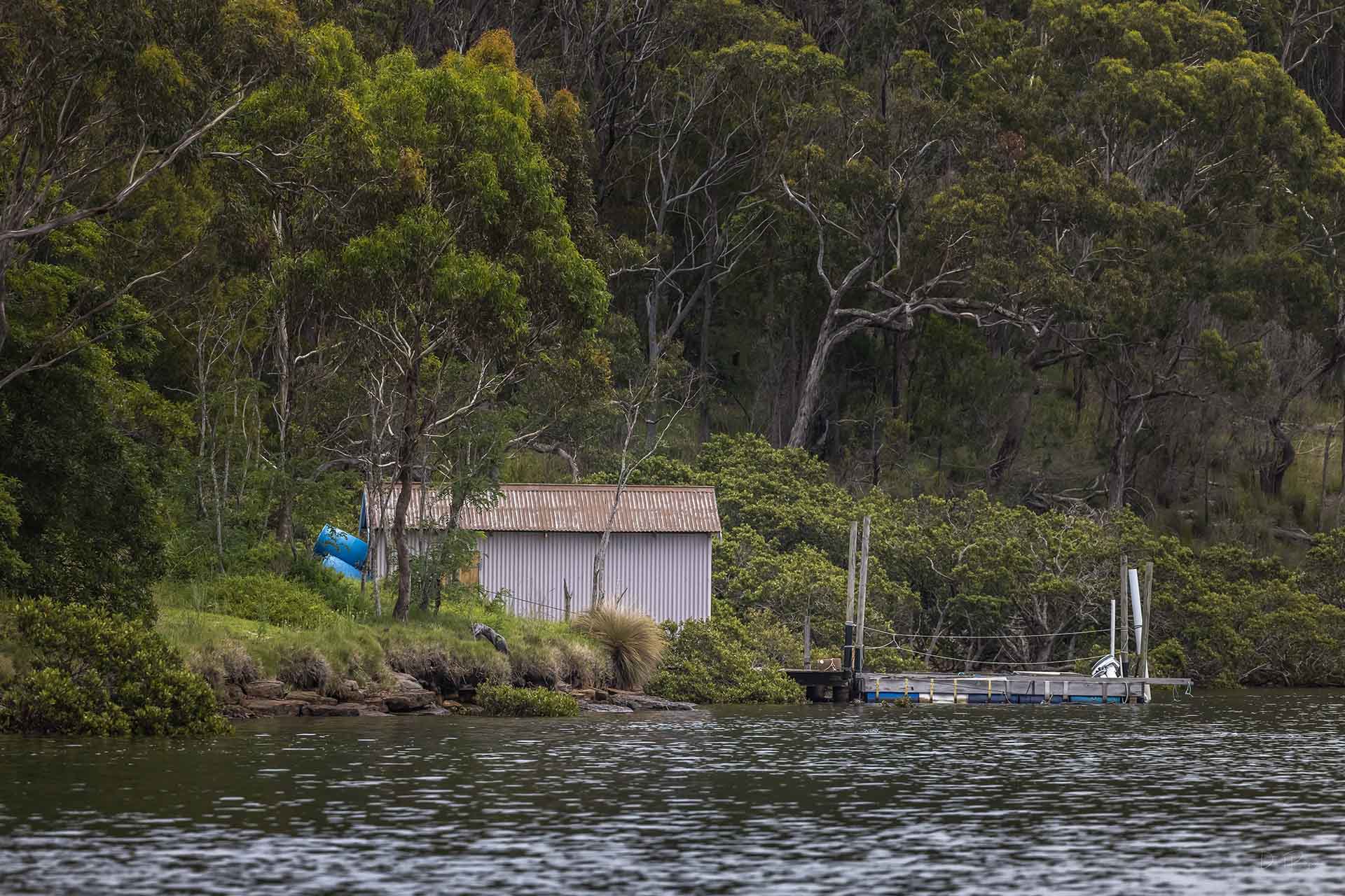 Oysters on the Sapphire Coast NSW