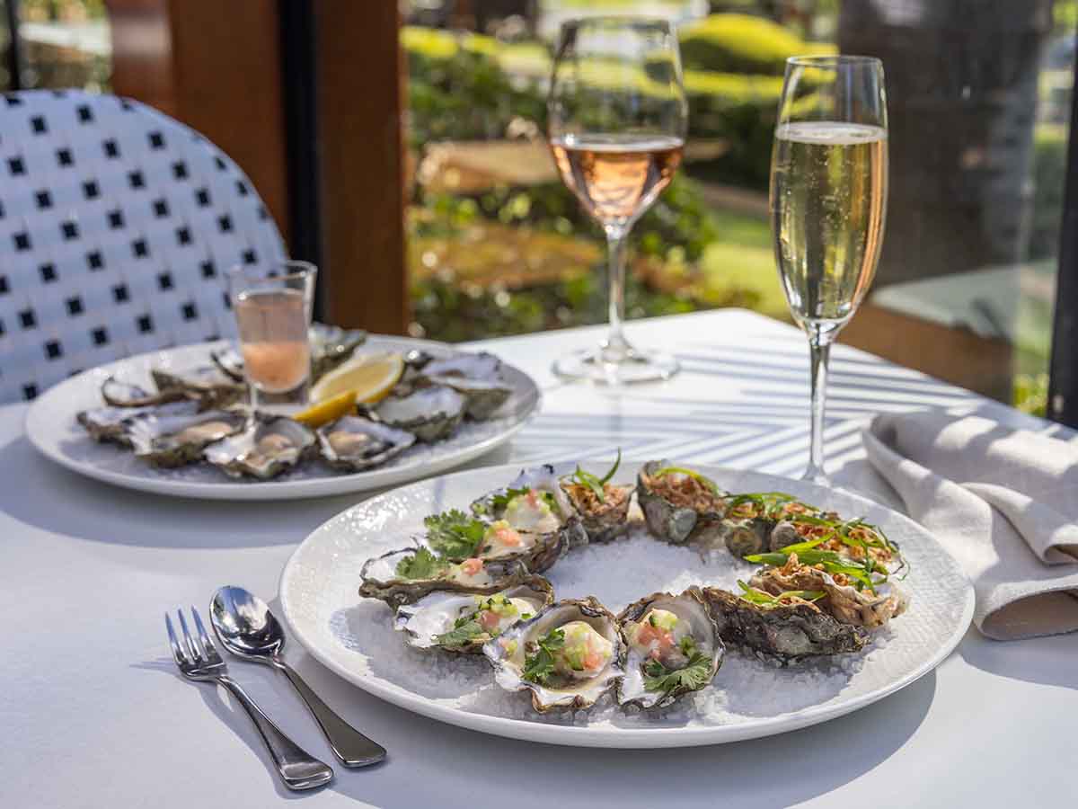 Sydney Rock Oysters on the Sapphire Coast, NSW