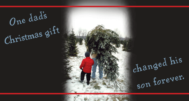 A father and his son choosing a Christmas tree.