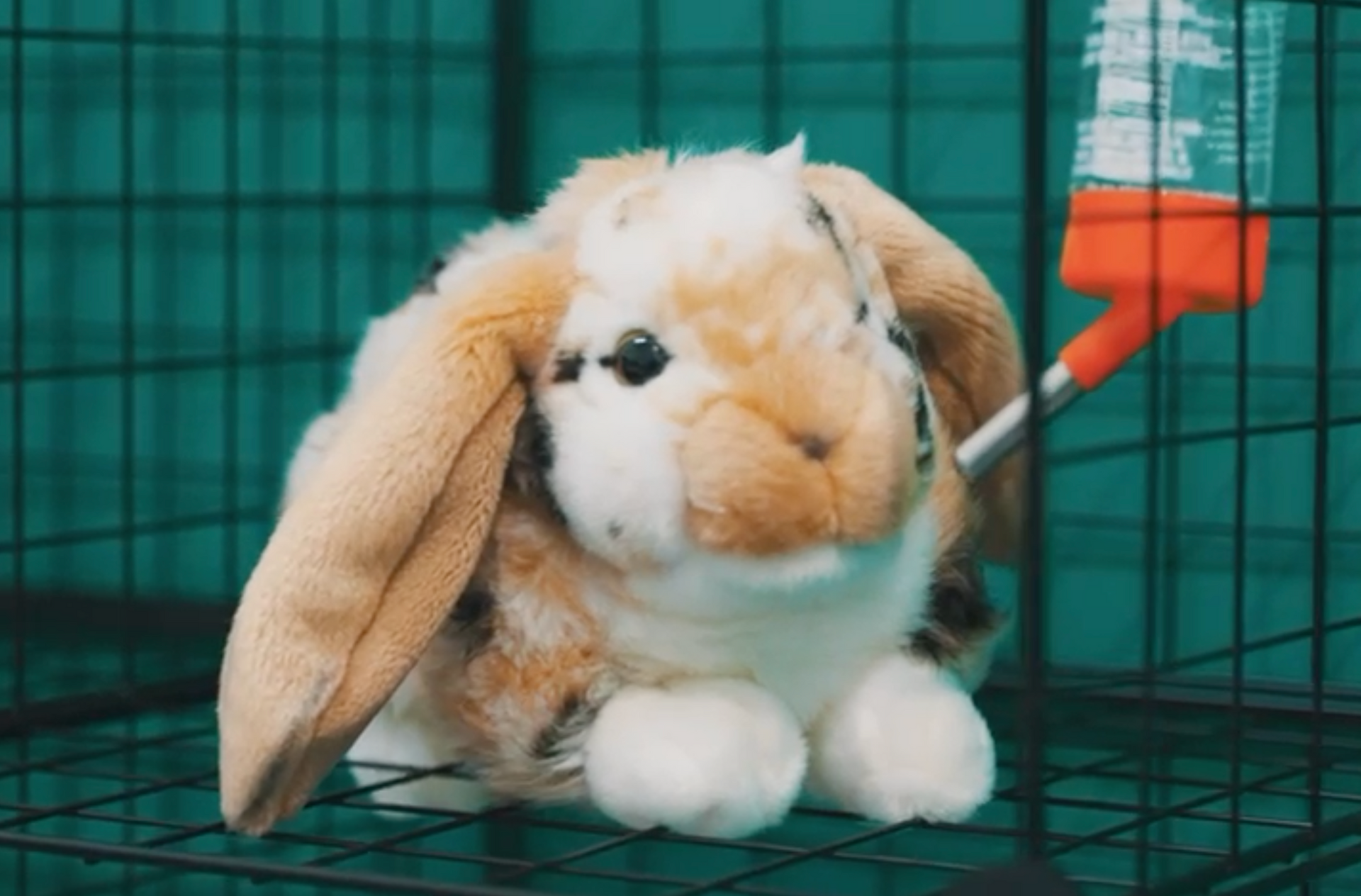 A stuffed rabbit is sitting in a cage next to a water bottle.
