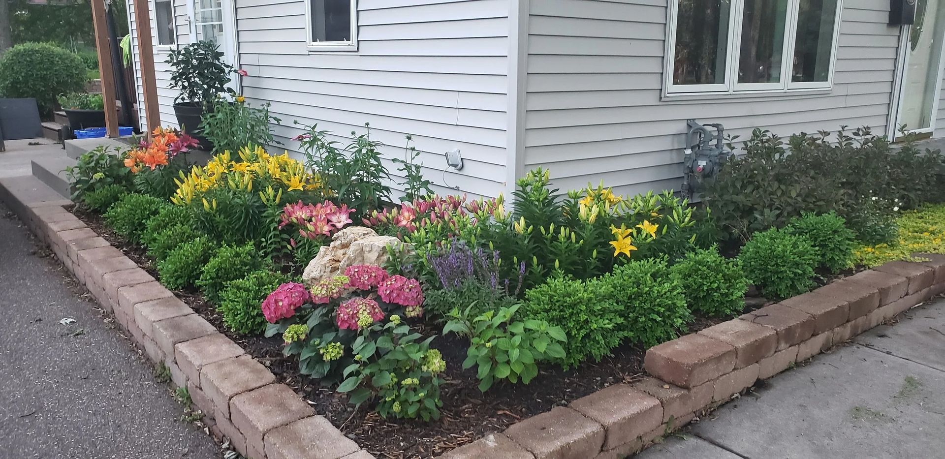 Colorful flower bed along a house’s corner with pink, yellow, and purple blooms beside a driveway.