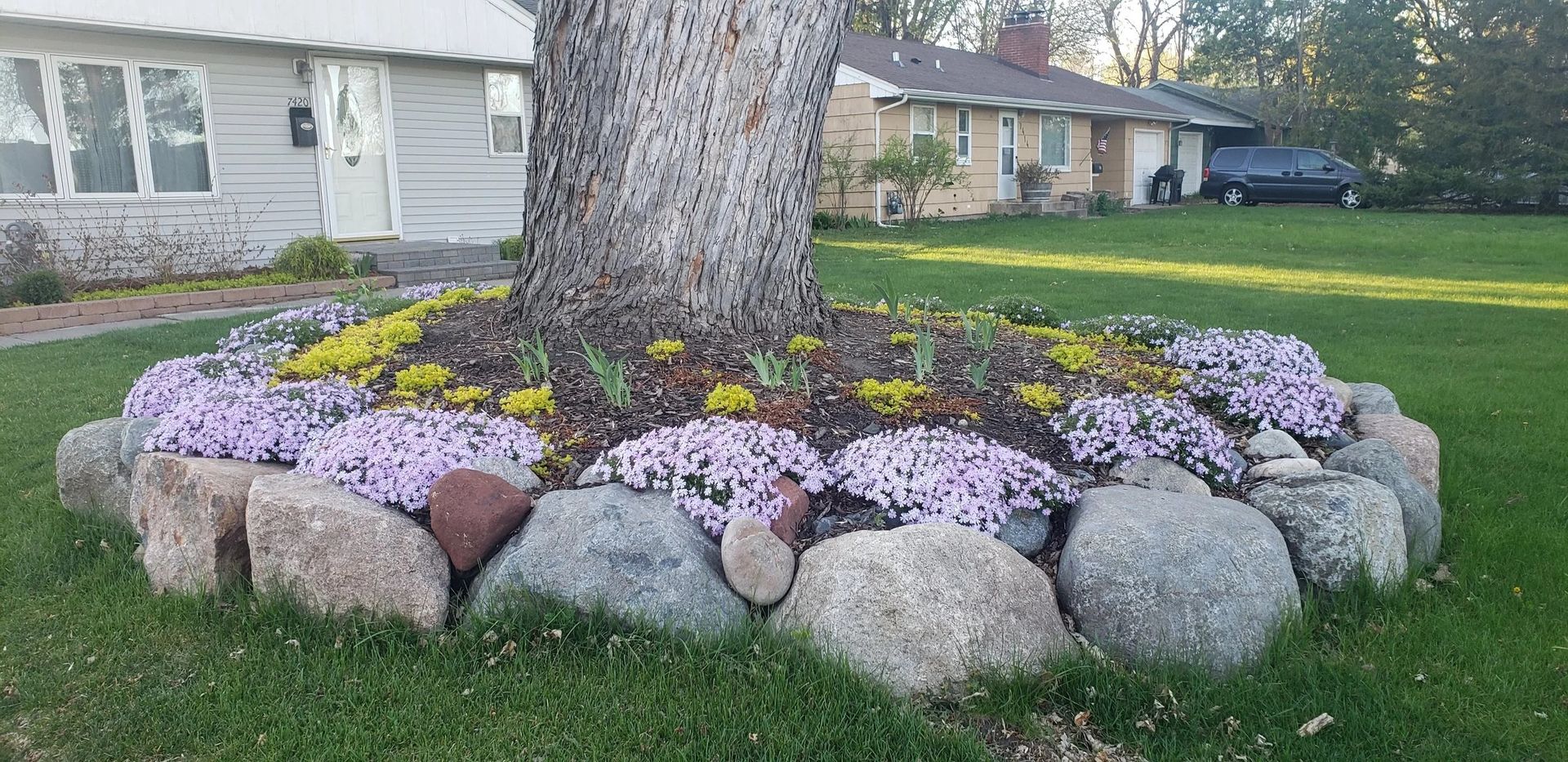 Flower bed around a tree with pink, yellow, and purple blooms bordered by large rocks in a lawn