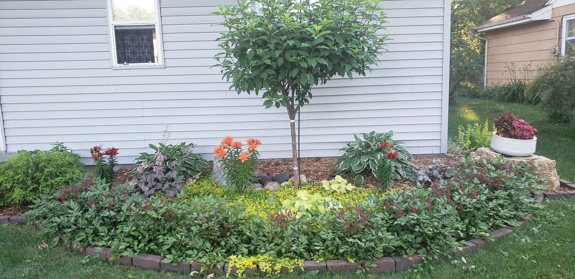 Front yard garden bed with flowers, shrubs, and a small tree against a house exterior
