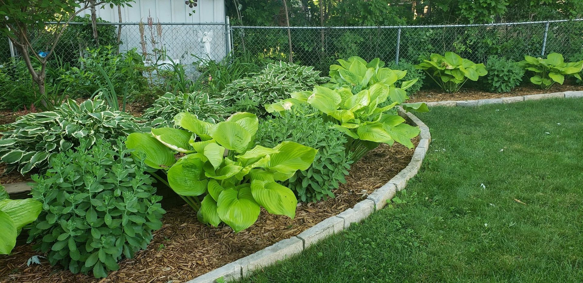 Curved garden bed with green leafy plants bordered by stone edging beside a grassy lawn