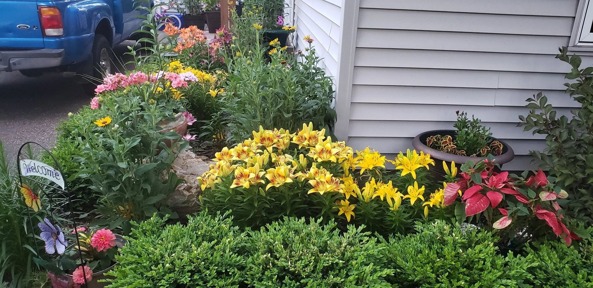 Colorful flower bed with yellow, pink, and red blooms beside a house and blue truck | Edina, MN