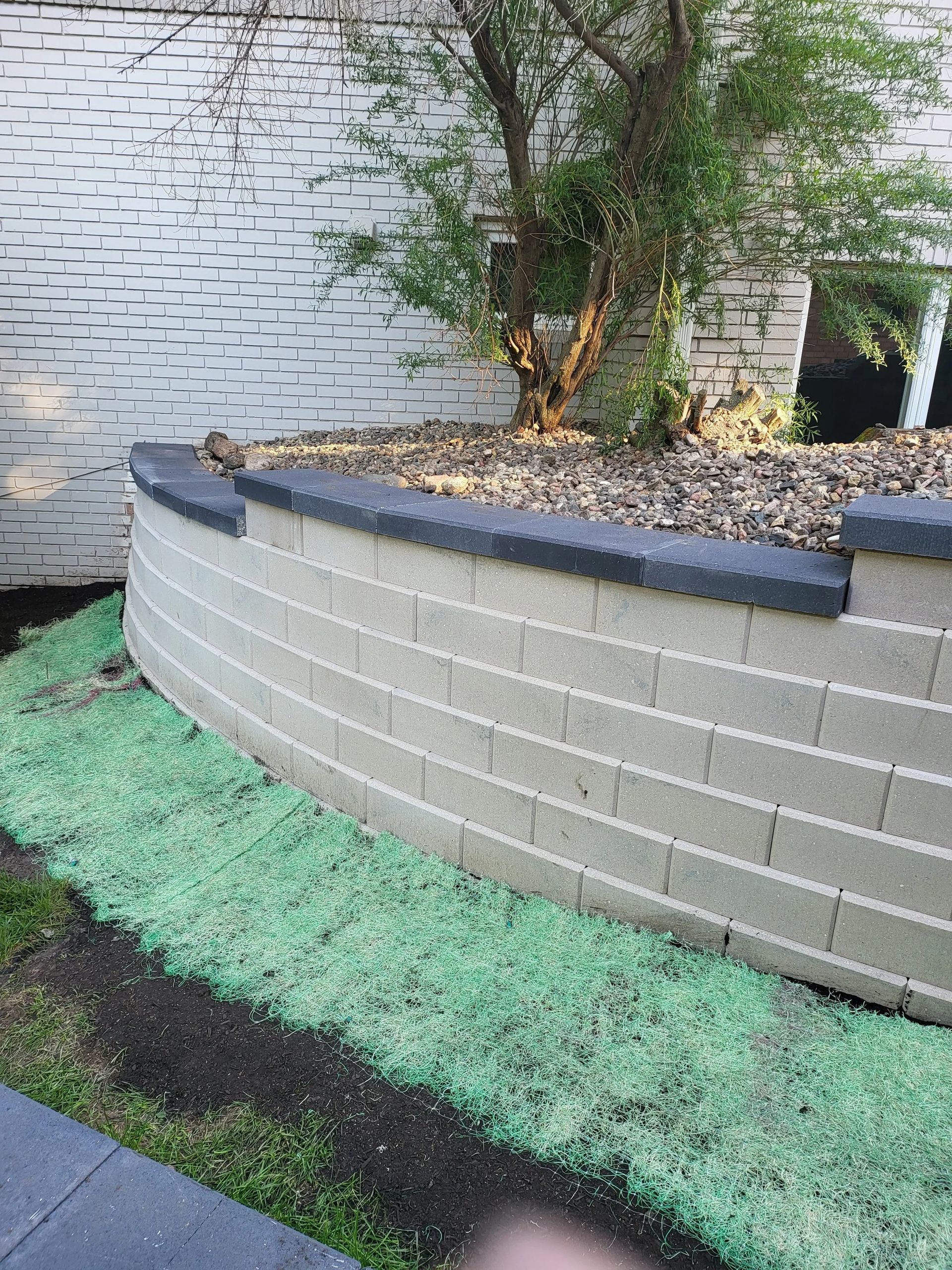 Curved raised planter with tree, white brick wall, and green ground cover in a landscaped yard