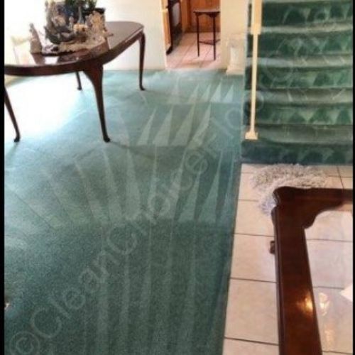 carpet cleaning hemet