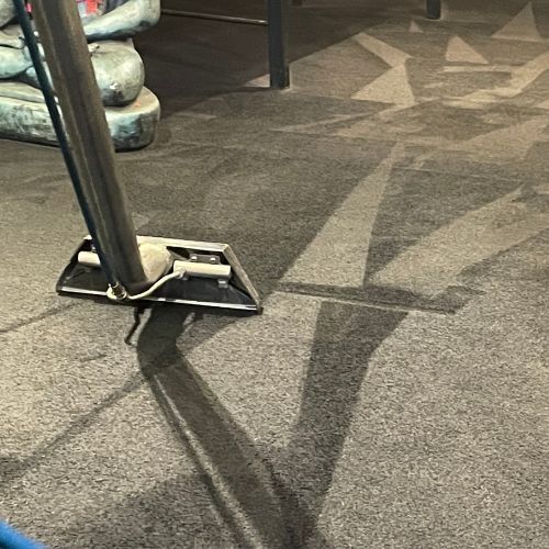 professional carpet cleaners