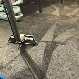 professional carpet cleaners