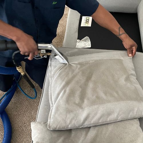 couch cleaning service