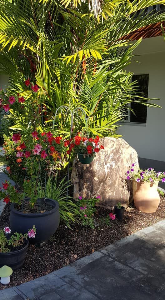 A Garden With Lots Of Potted Plants And Flowers In Front Of A House — Zappala Raw Materials Pty Ltd In Edmonton, QLD