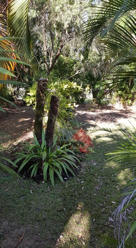 A Lush Green Garden Filled With Lots Of Plants And Trees — Zappala Raw Materials Pty Ltd In Edmonton, QLD