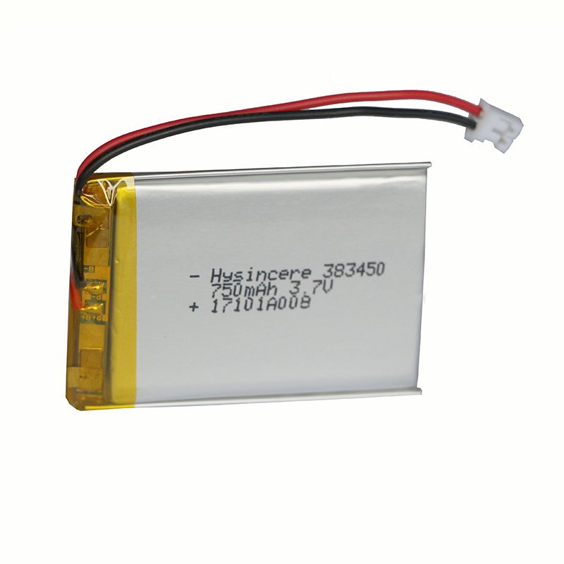 lithium polymer