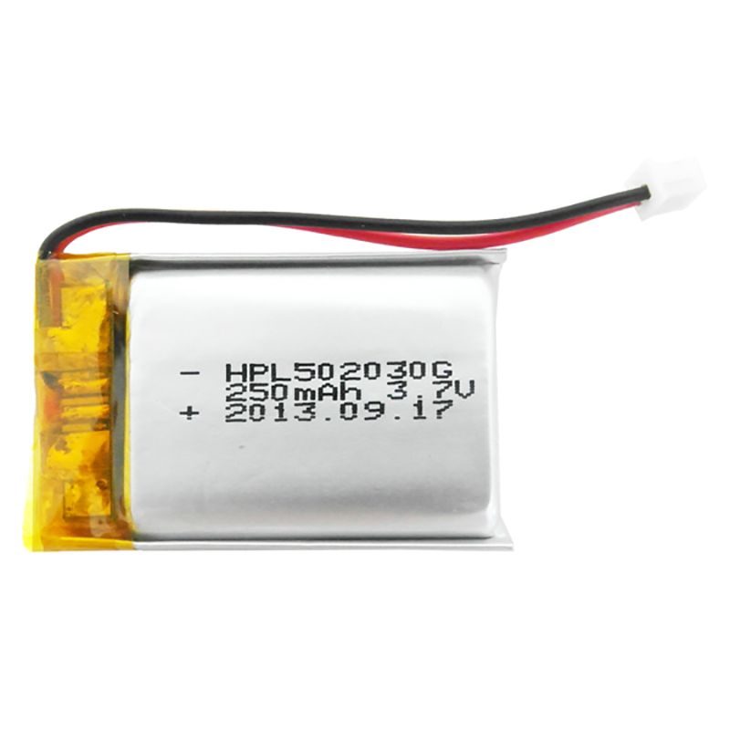 lithium polymer