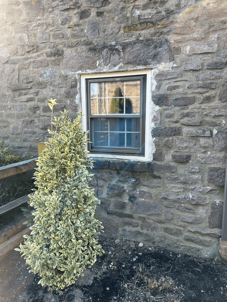 Stone wall with a small window and a potted shrub in front of it.