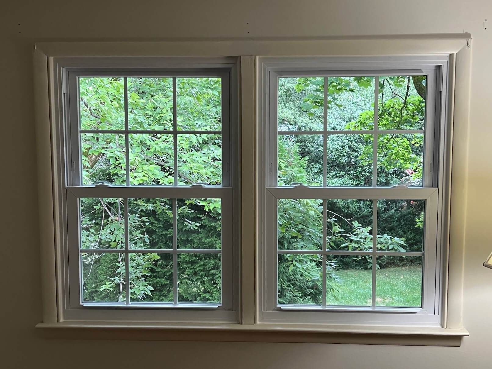 Two white-framed windows with green trees and grass visible outside