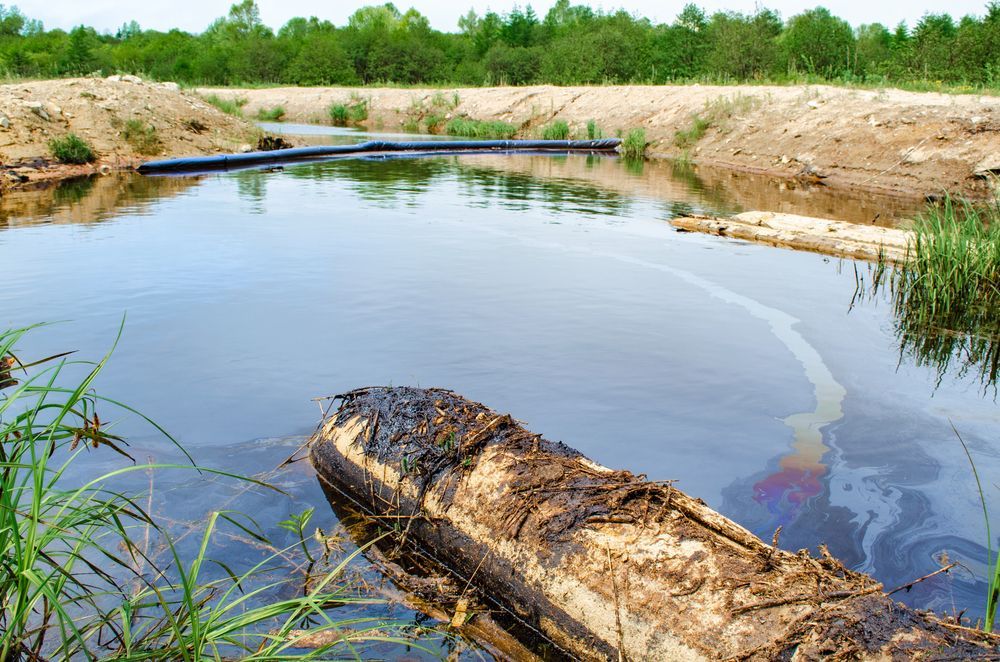 Oily Mud Floats Near the Shore of the Pond-lake — Liquid Waste Disposal in Port Macquarie, NSW