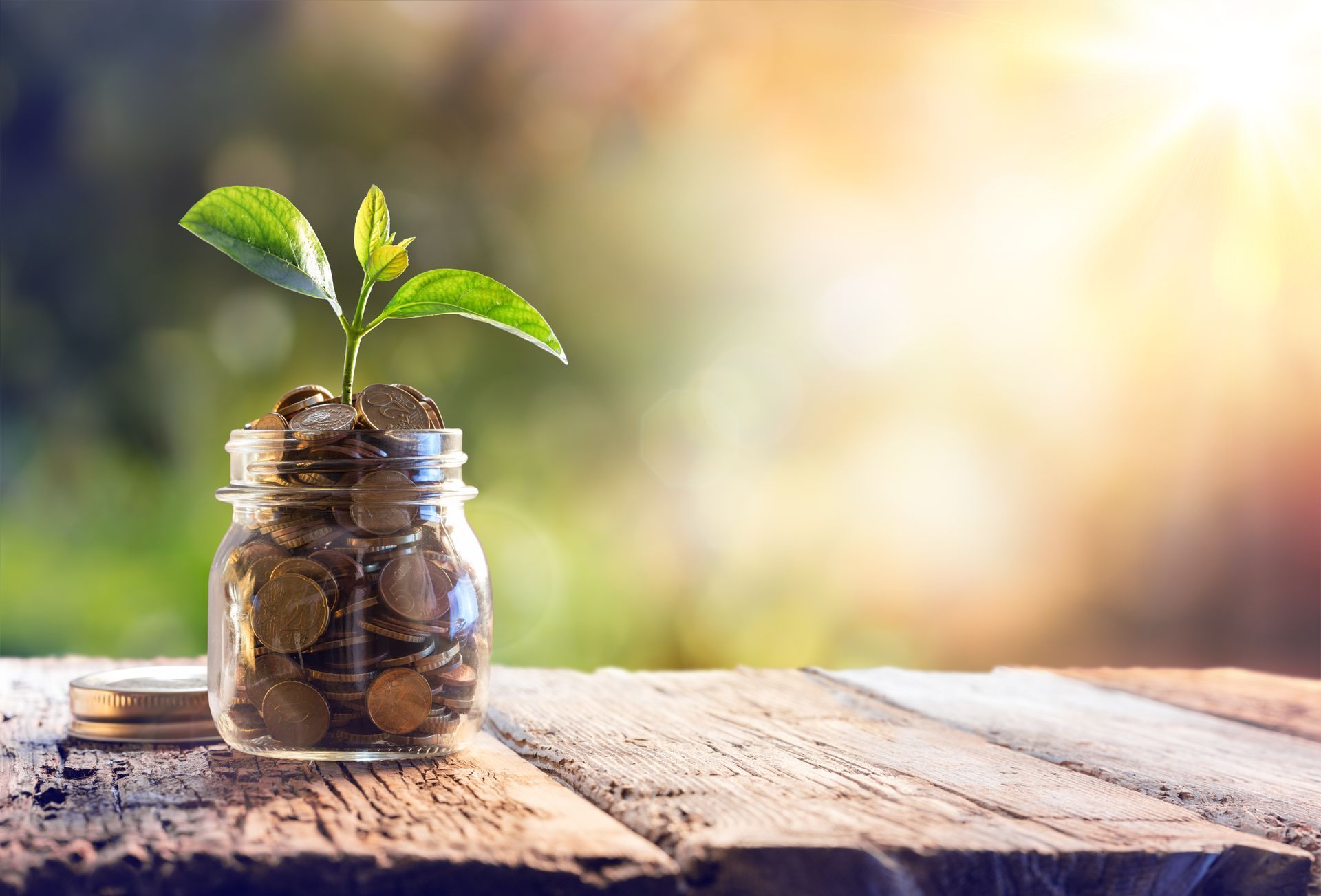 contributo pompe di calore solare termico bonus Ecobonus rinnovabili