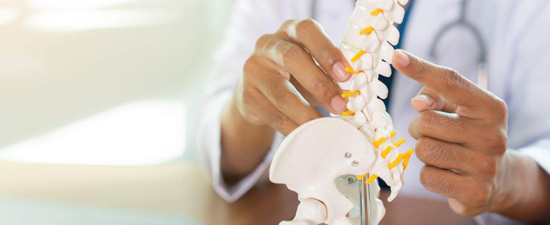 Doctor's hands pointing to a spinal column model, demonstrating anatomy.