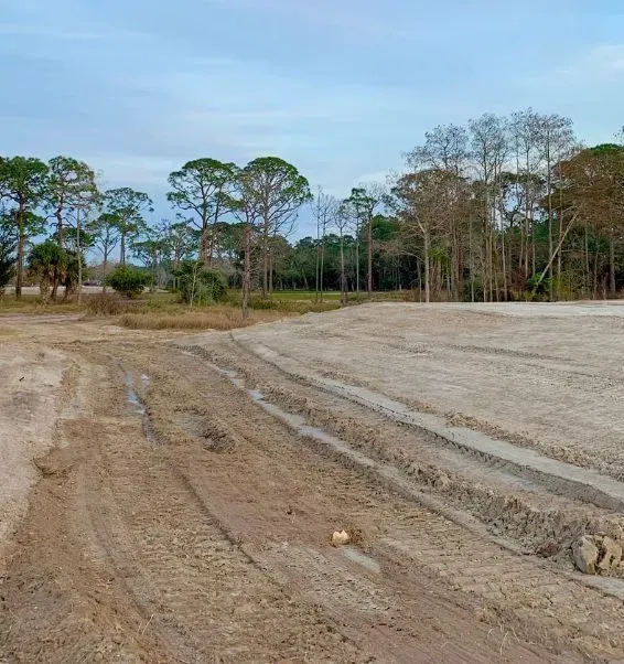 Dirt road beside a cleared field with trees lining the horizon under a cloudy sky