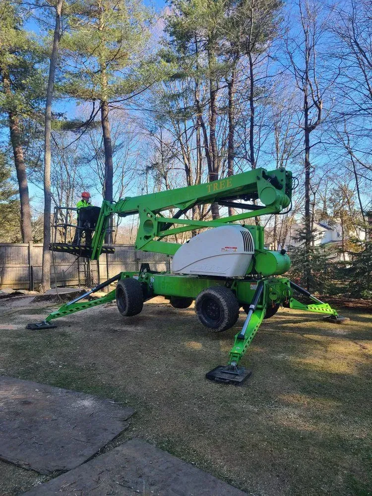 Green boom lift parked on a driveway with a worker in the basket, trees and blue sky behind.