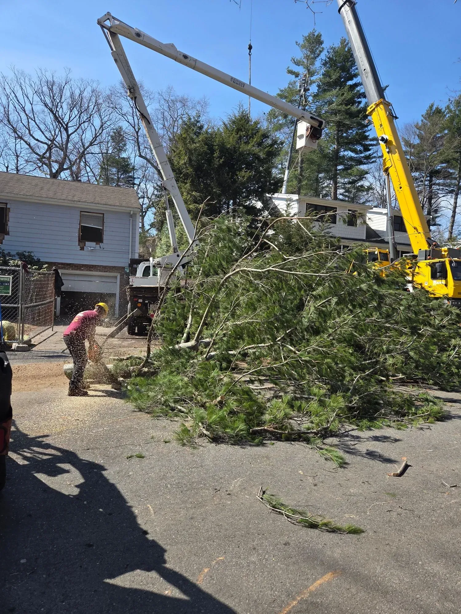 Tree removal crew lifting a large fallen tree branch with a crane in a residential driveway