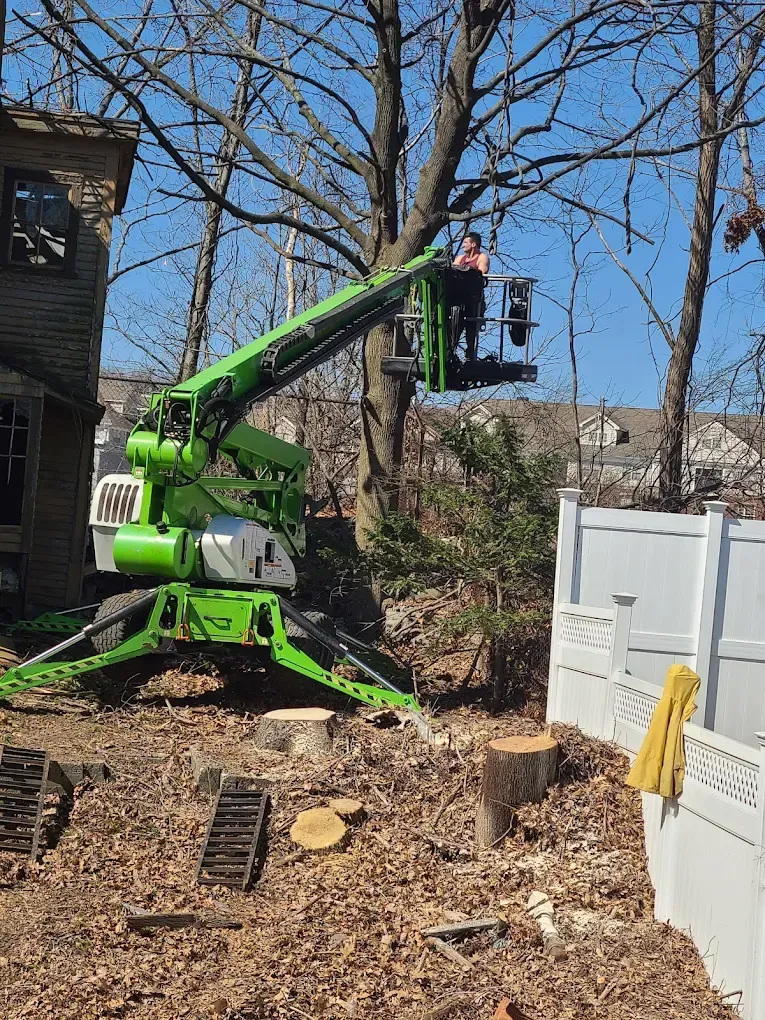 Green tree-service crane lifting a worker basket beside a house and white fence in a yard