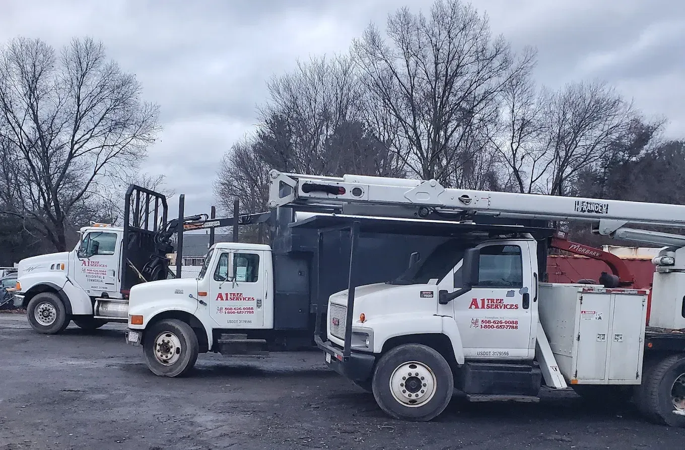 Two white utility trucks parked on a snowy lot with bare trees in the background.