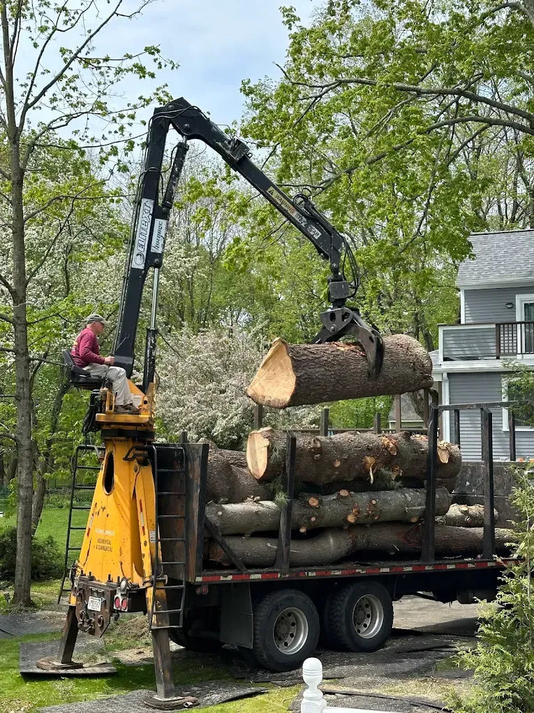 Worker using a crane to load logs onto a truck in a wooded area