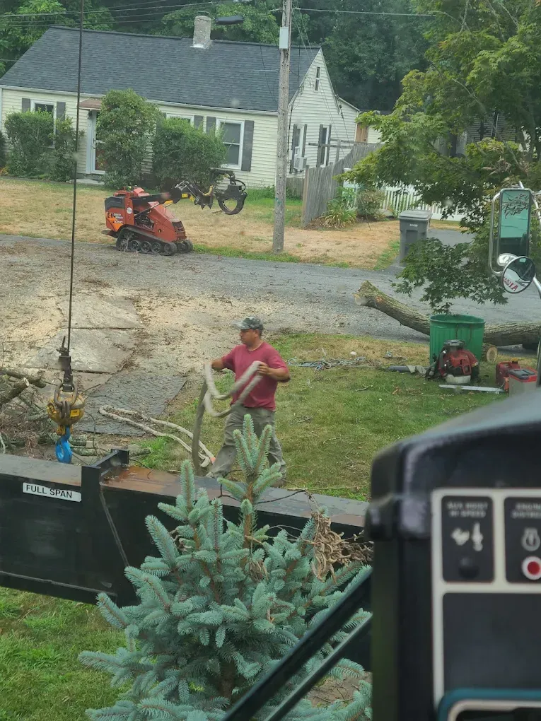 Person mowing a grassy yard near a white house, with a gravel driveway and trees in the background.