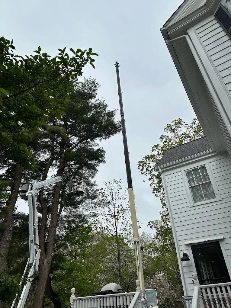 Tall crane beside a white house, lifting a long tree trunk amid trees and cloudy sky