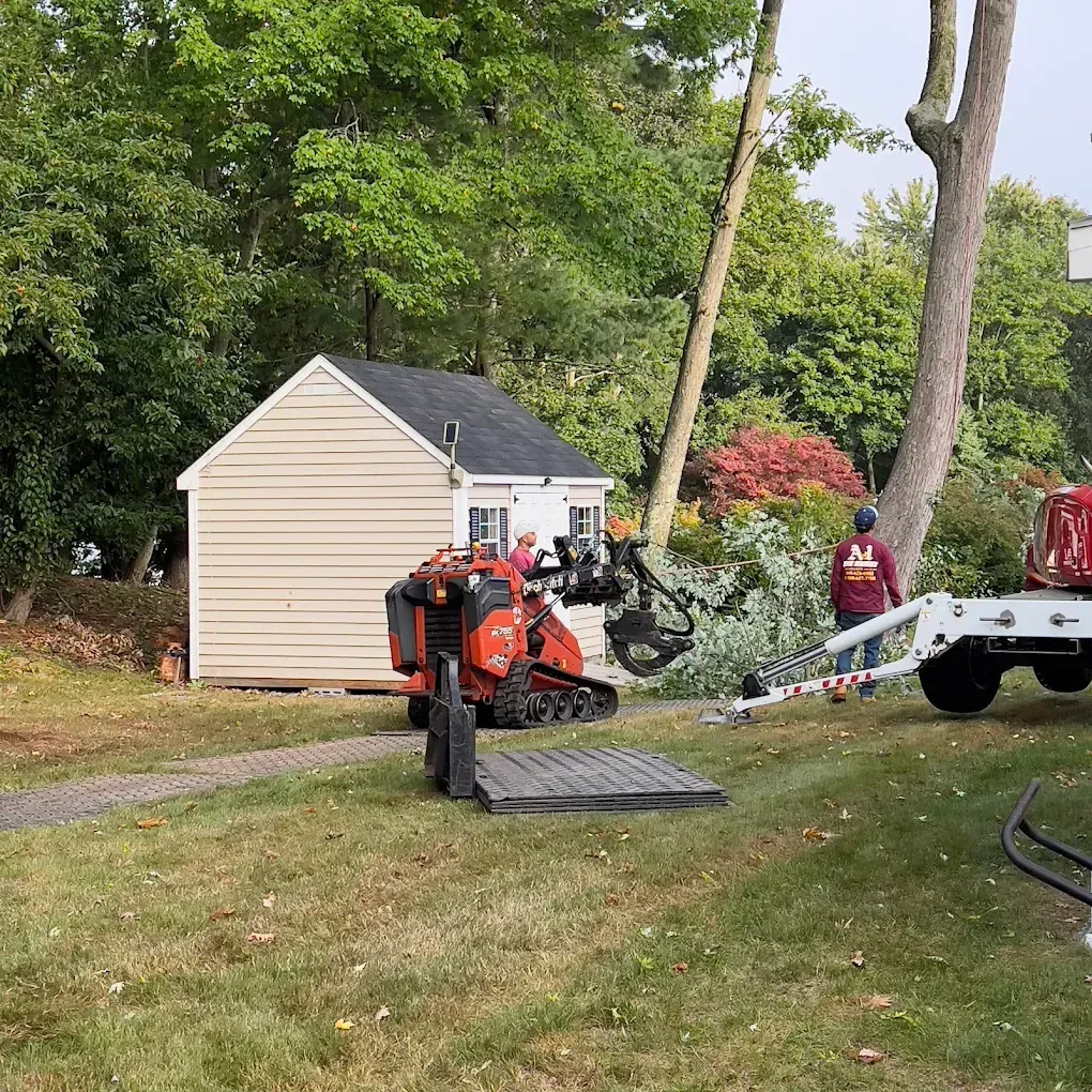 Workers unloading equipment from a truck near a small beige shed in a wooded yard.
