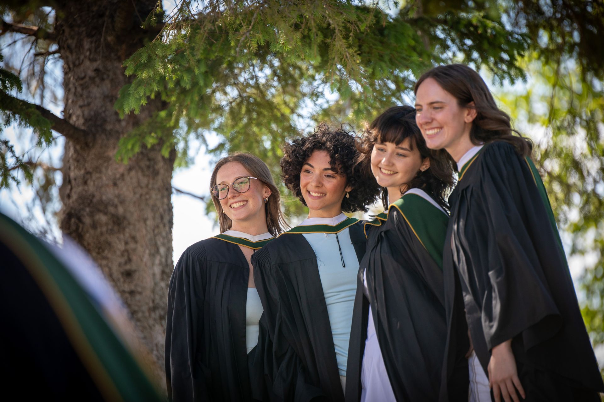 Four graduates in black gowns with green trim smiling outdoors by a tree