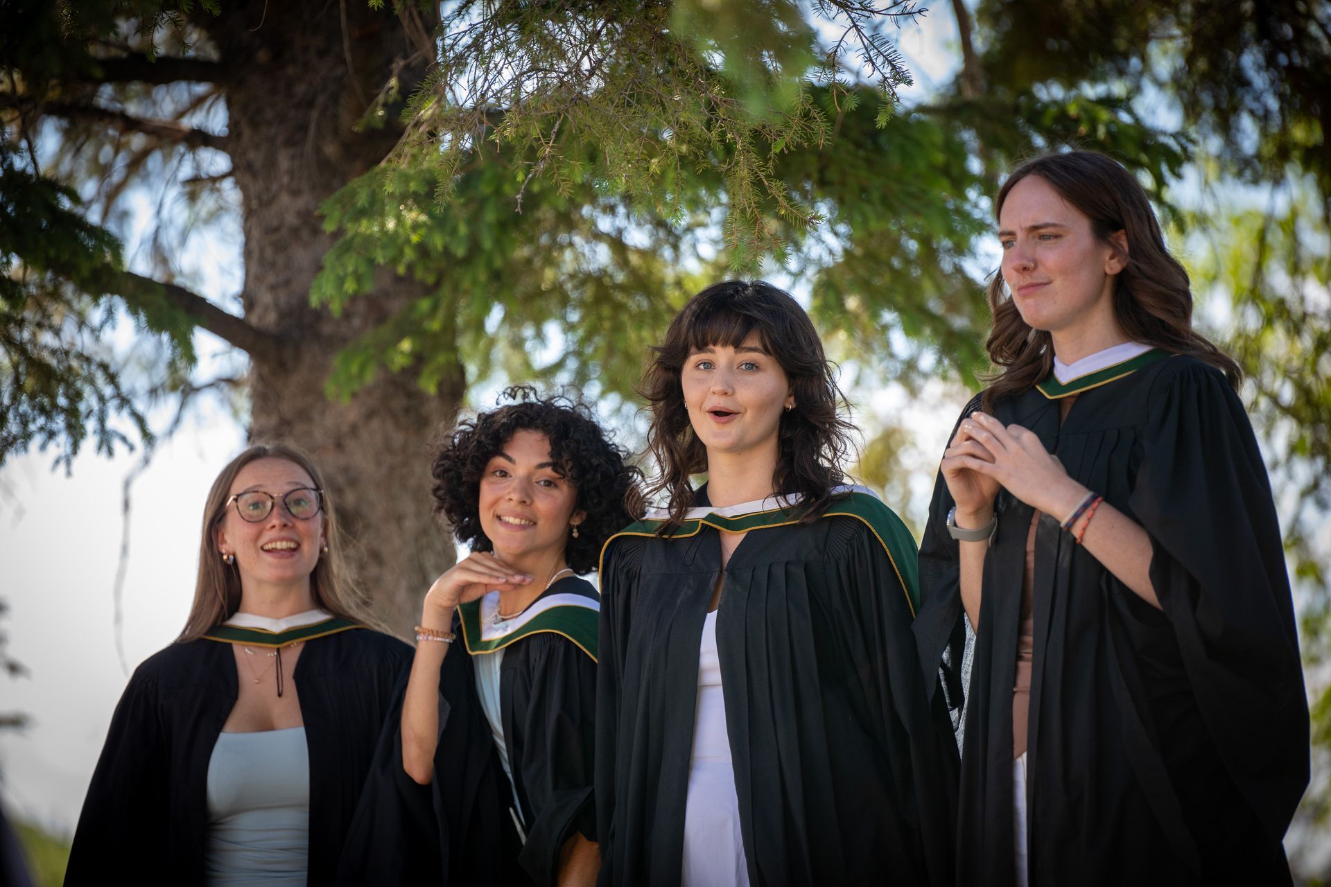 Four graduates in black gowns stand outdoors beneath trees, smiling toward the camera.