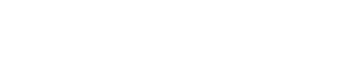 Nipissing University White Logo