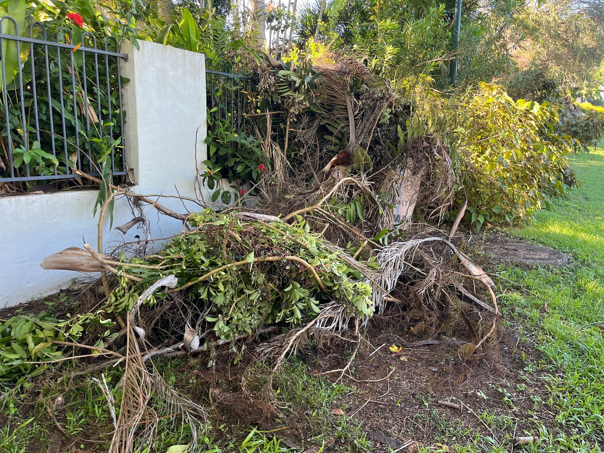 A Pile A Garden Waste — Mackay Bags in Mirani, QLD