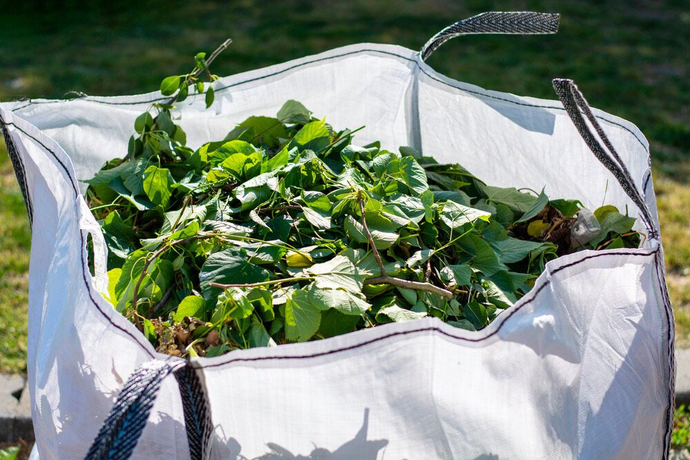 A Black Bag Filled With Grass Is Sitting On Top Of A Lush Green Lawn — Mackay Bags in East Mackay, QLD