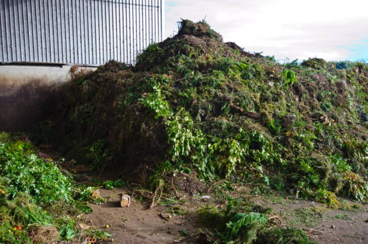 A Large Pile Of Leaves Is Sitting On The Ground In Front Of A Building — Mackay Bags in East Mackay, QLD