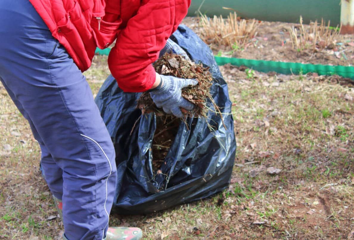 A Person Is Putting Leaves in a black bags— Mackay Bags in Rural View, QLD