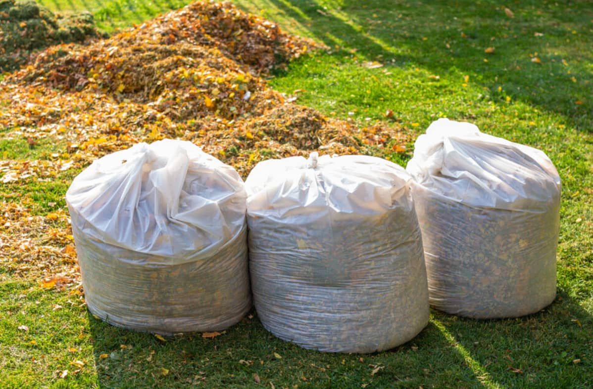 Three Bags Of Leaves Are Sitting On Top Of A Lush Green Lawn — Mackay Bags in Black Beach, QLD