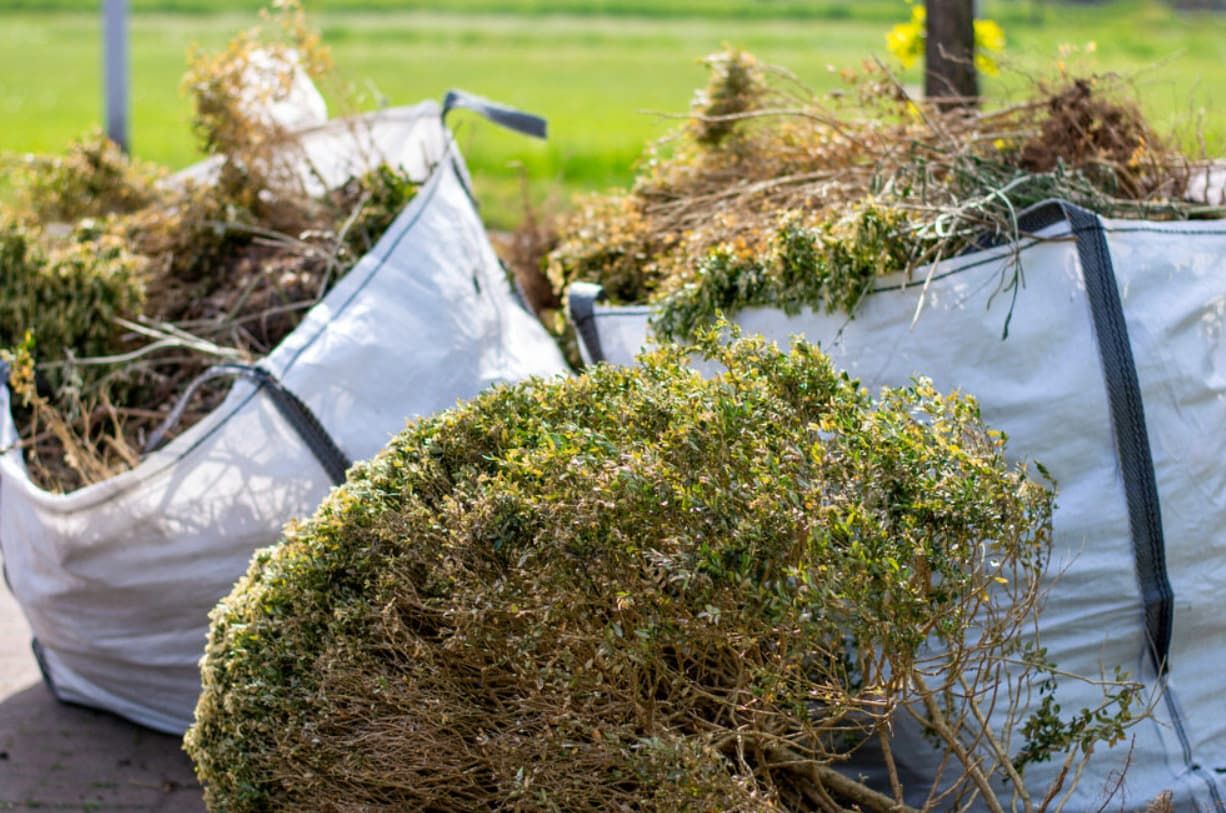 A Bunch Of Bags Filled With Branches And Leaves Are Sitting On The Ground — Mackay Bags in Mirani, QLD