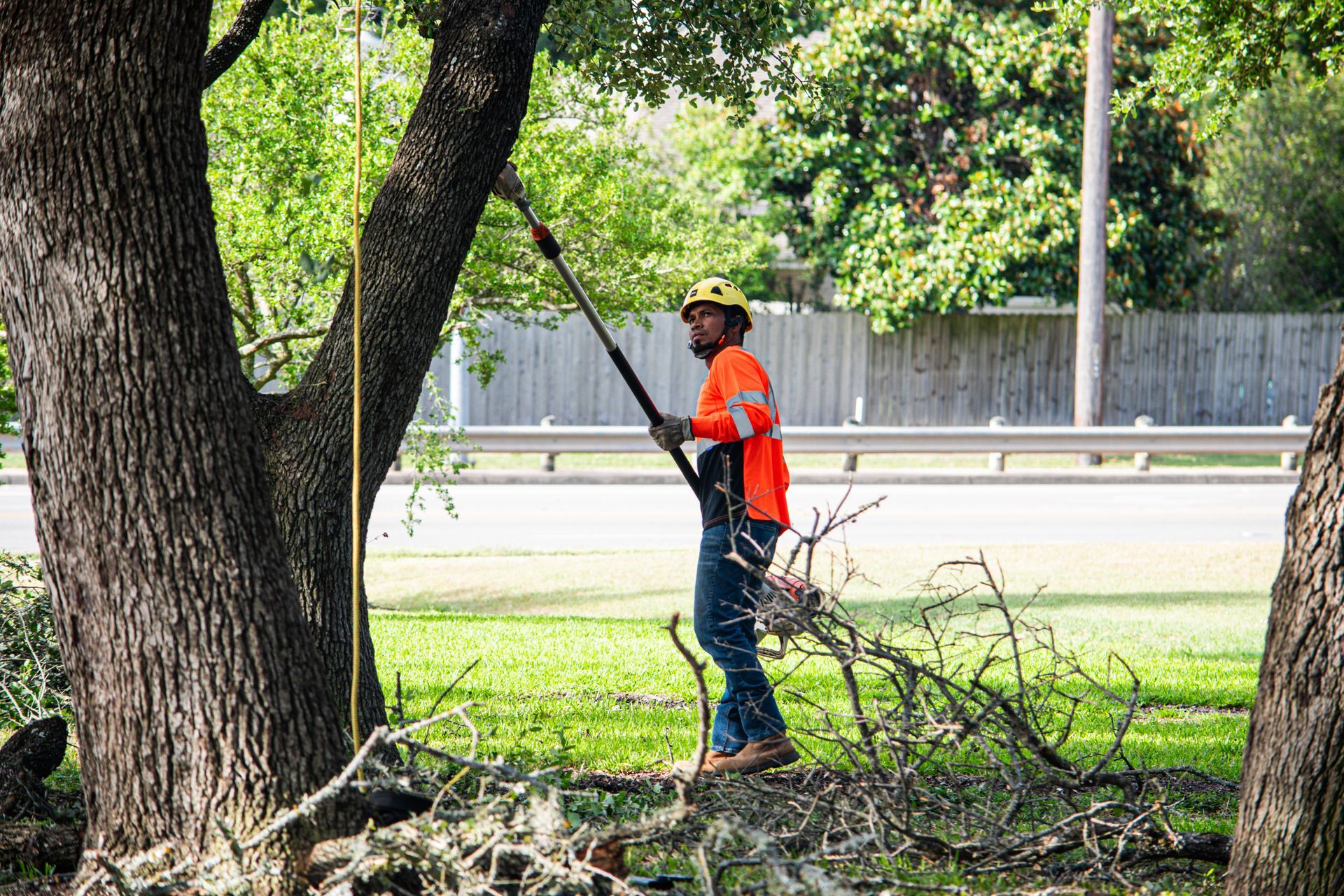 Tree Trimming Services in Austin, Texas