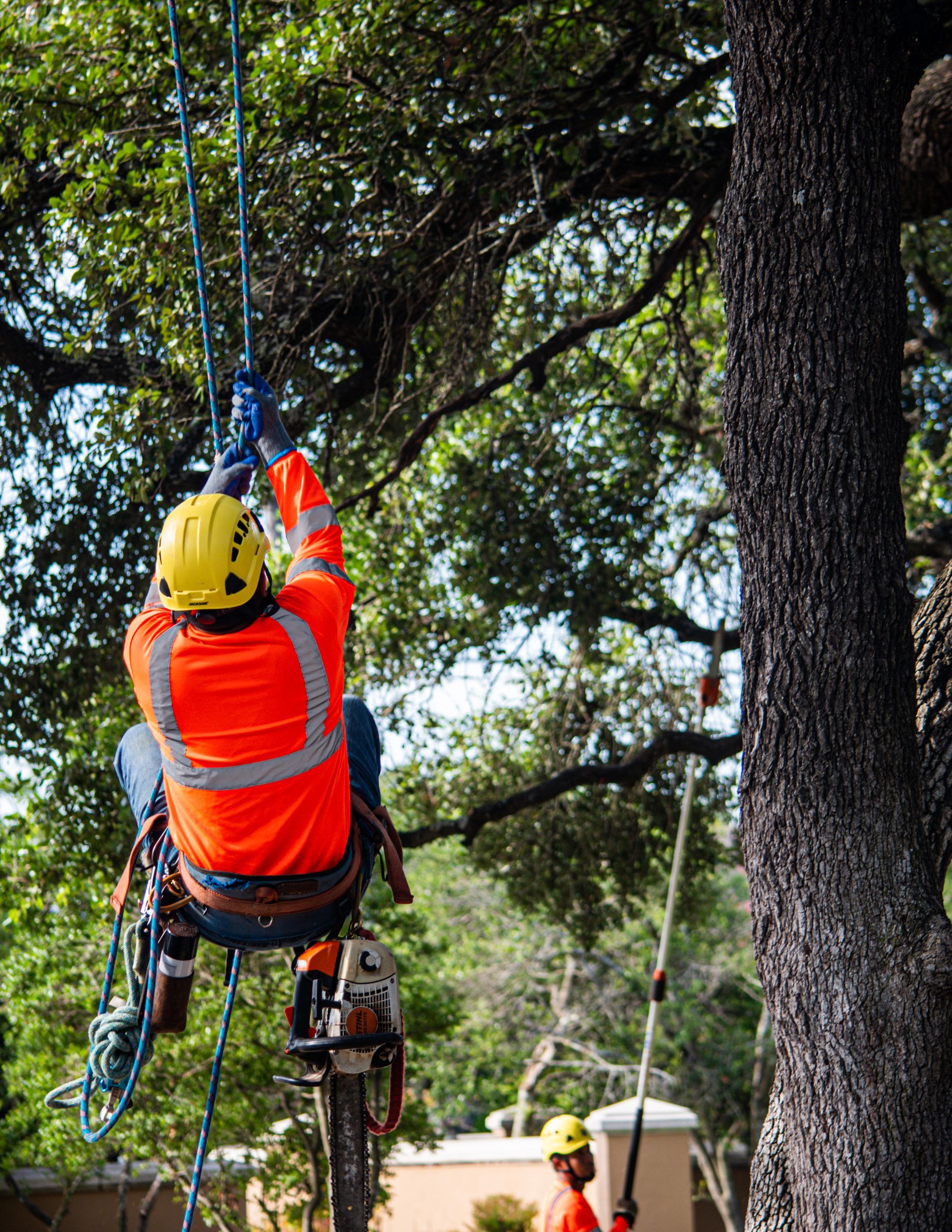 A man in an orange shirt is climbing a tree.