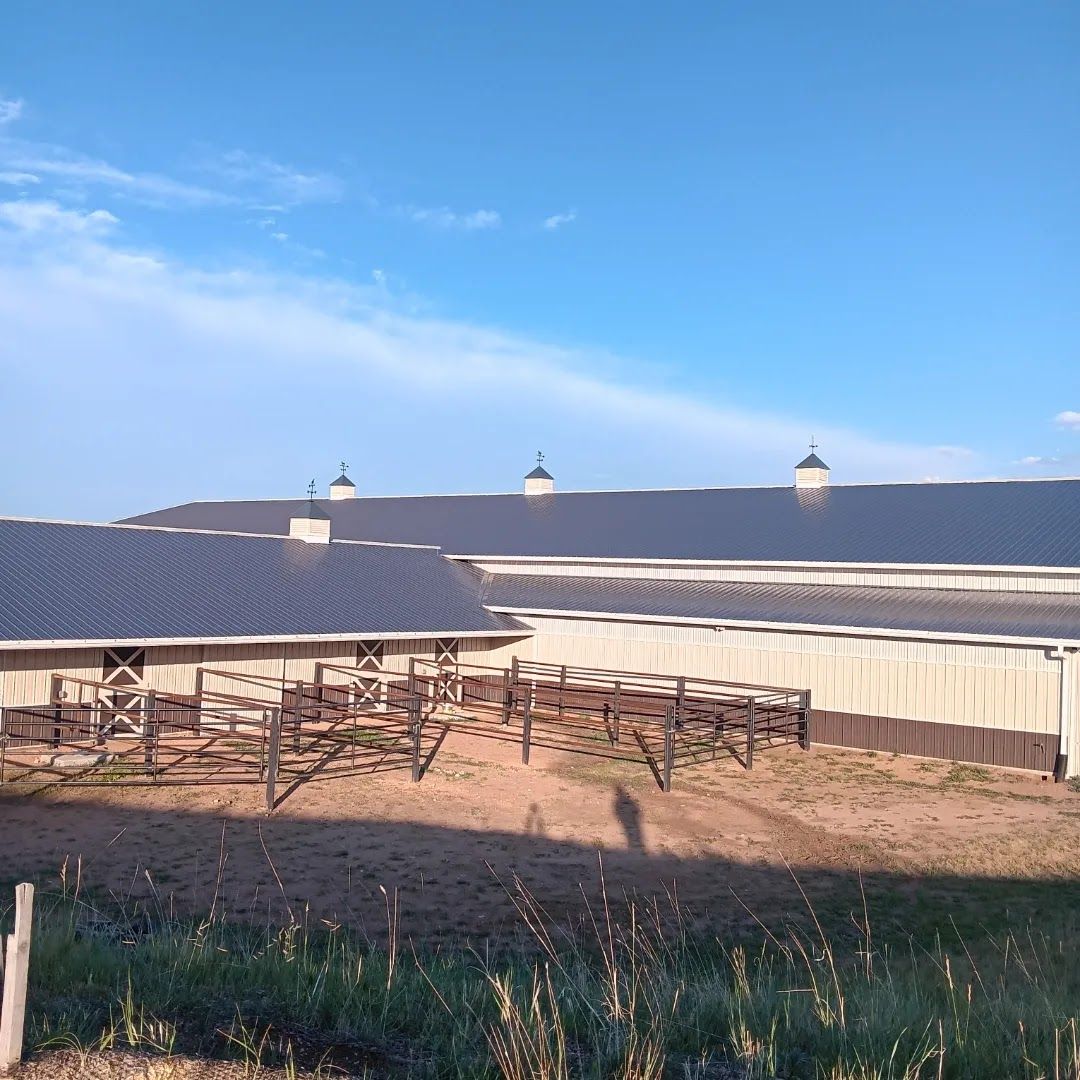 Barn and fenced paddocks under a clear blue sky at sunset
