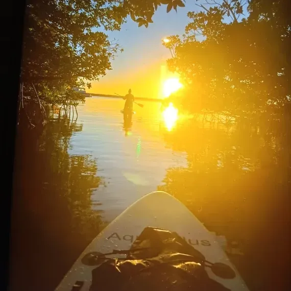 Paddleboarder on calm water at sunset, sun reflecting. Trees frame the waterway, bright gold hues.