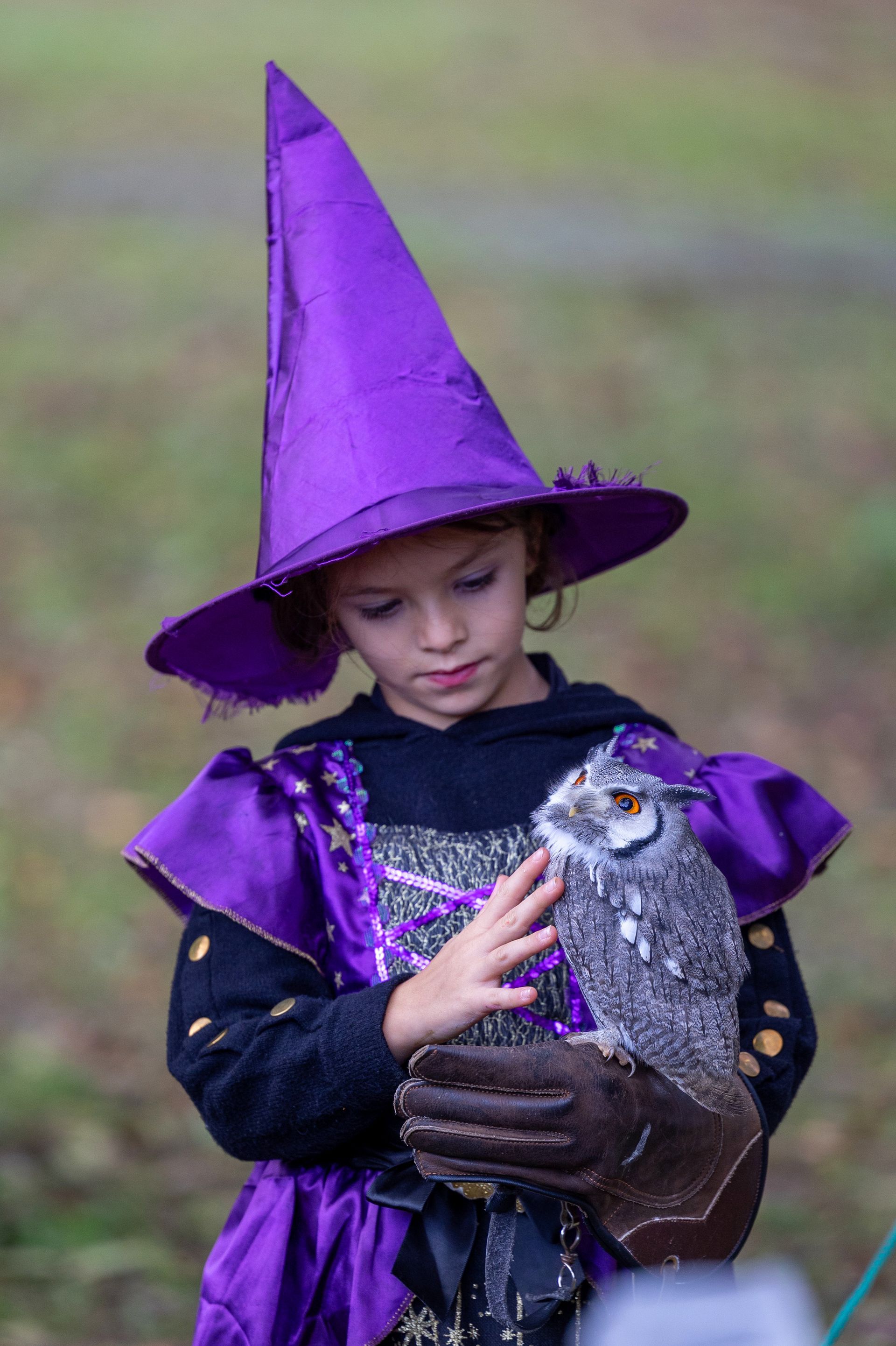 Una bambina vestita da strega tiene in mano un gufo