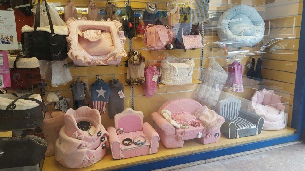 Vetrina di un negozio per animali con cucce, maglioncini e accessori rosa e blu