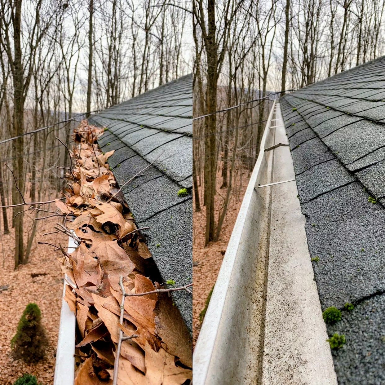 A bathroom with a lot of sinks and mirrors.